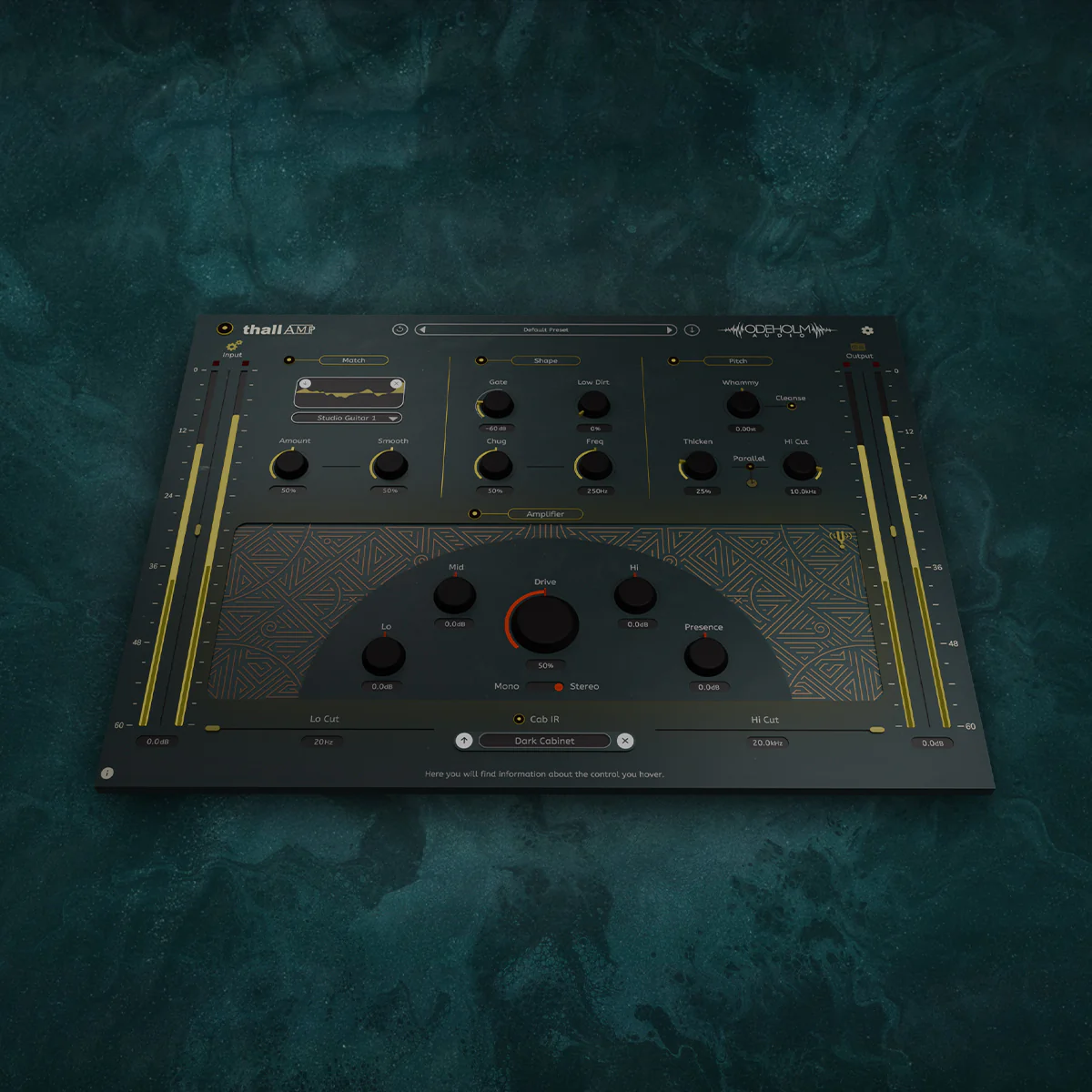 thall amp - Image 3